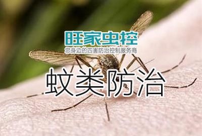 郴州蚊类防治服务